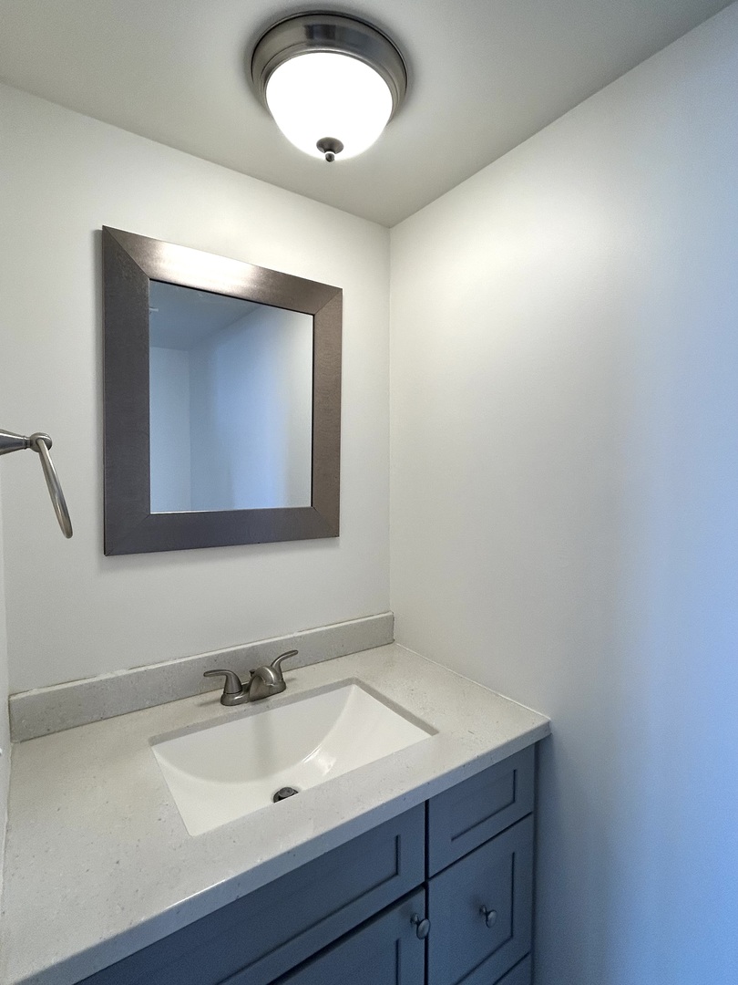 422 Lincoln Avenue, Unit A Fox River Grove, IL 60021 - Photo 6 of 15 a bathroom with a sink and a mirror