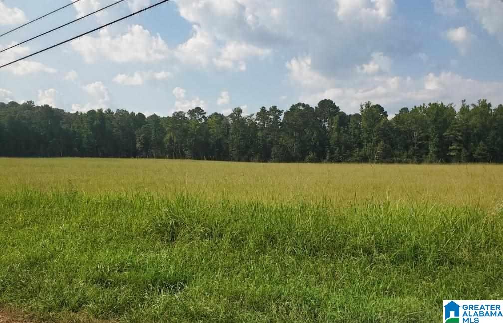 460 Fox Valley Farms Road, Unit 3 Alabaster, AL 35114 - Photo 13 of 13