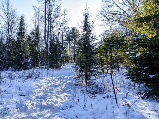 Lot 2 Coveyville Road Phelps, WI 54554 - Photo 4 of 13 Gallery Image 4