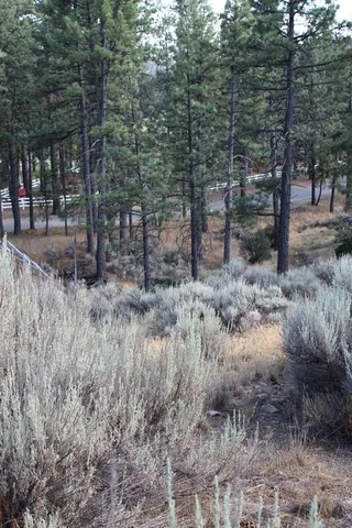 $179,000 | 30 Butterfly Peak Road, Mountain Center, CA 92561