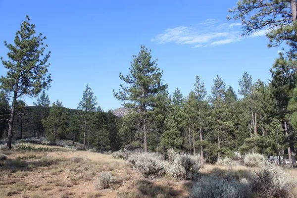 $150,000 | 30 Butterfly Peak Road, Mountain Center, CA 92561