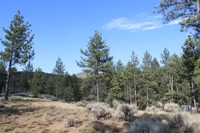 $179,000 | 30 Butterfly Peak Road, Mountain Center, CA 92561