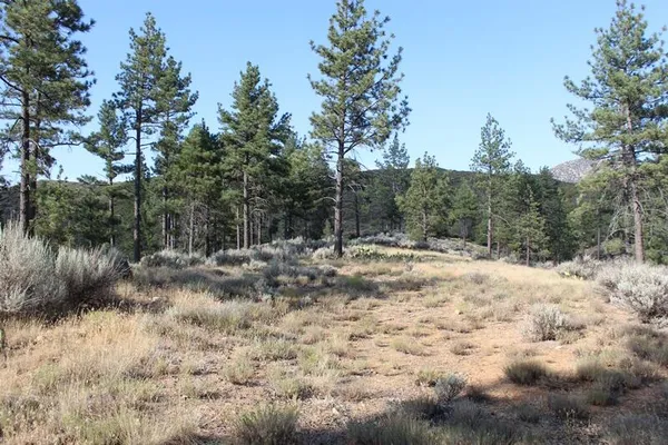 $150,000 | 30 Butterfly Peak Road, Mountain Center, CA 92561