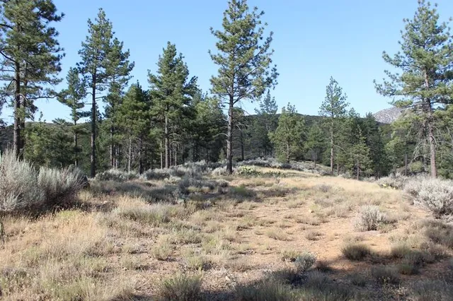 $179,000 | 30 Butterfly Peak Road, Mountain Center, CA 92561