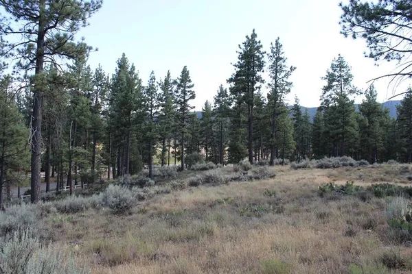 $150,000 | 30 Butterfly Peak Road, Mountain Center, CA 92561