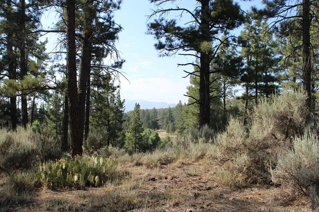 $179,000 | 30 Butterfly Peak Road, Mountain Center, CA 92561