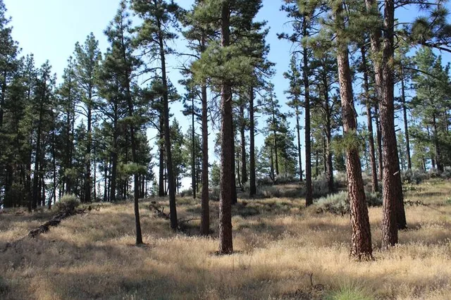 $179,000 | 30 Butterfly Peak Road, Mountain Center, CA 92561