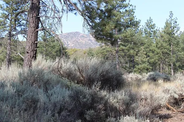 $150,000 | 30 Butterfly Peak Road, Mountain Center, CA 92561