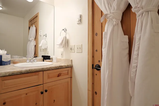 a view of a bathroom with closet