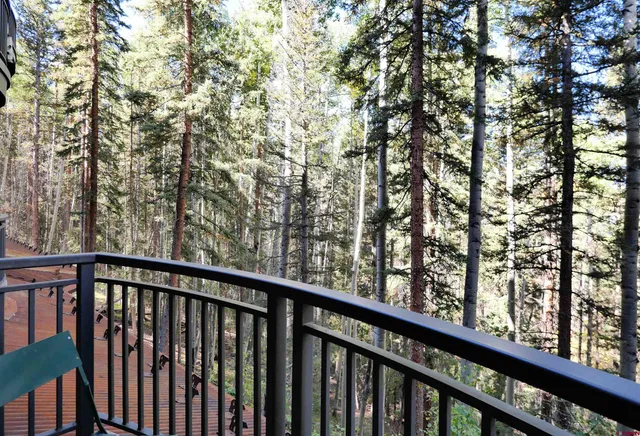 a bedroom with two beds and a window