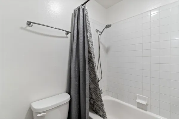 a bathroom with a shower and a toilet