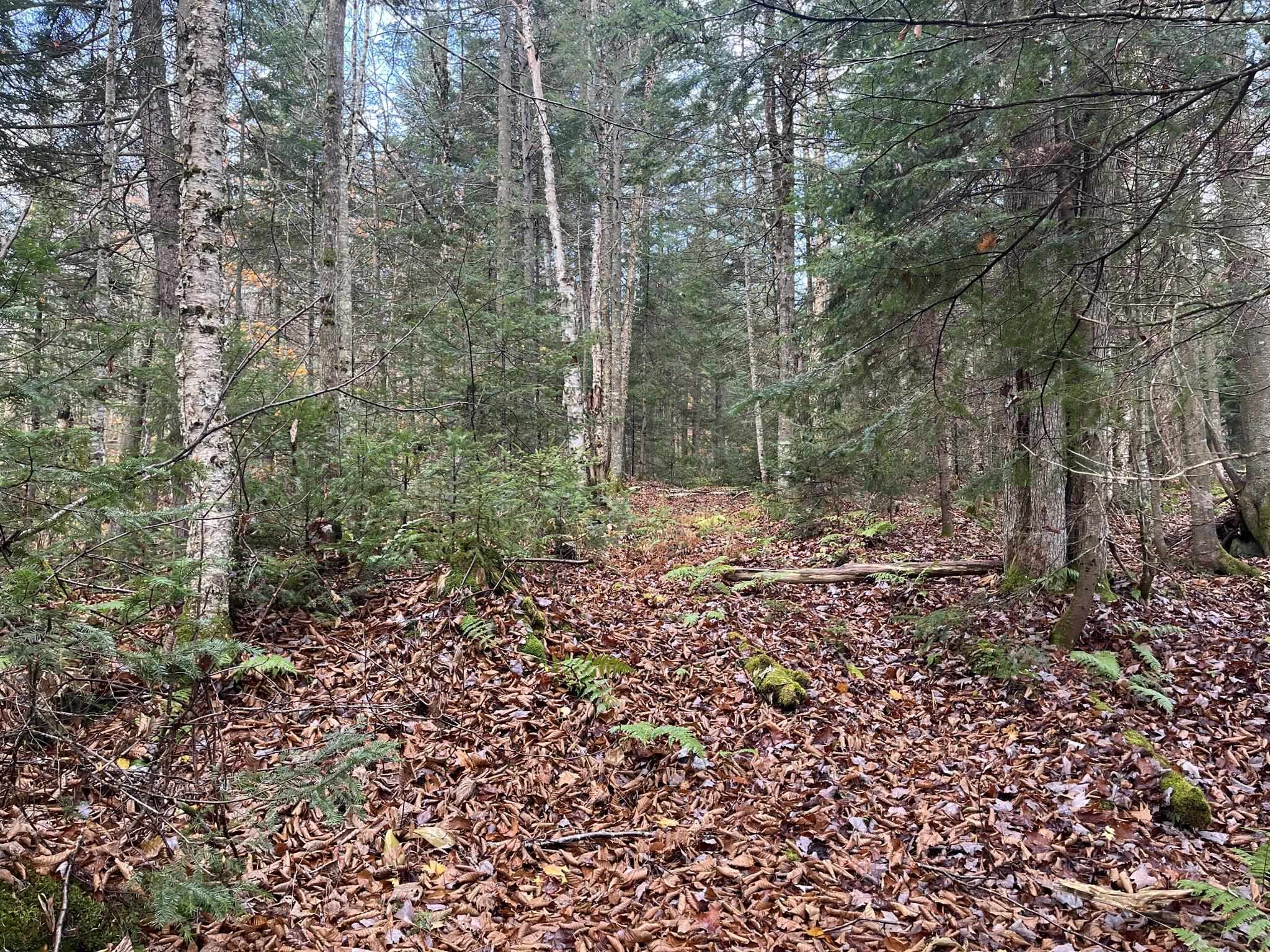0 Claybrook Road Canaan, VT 05903 - Photo 5 of 9