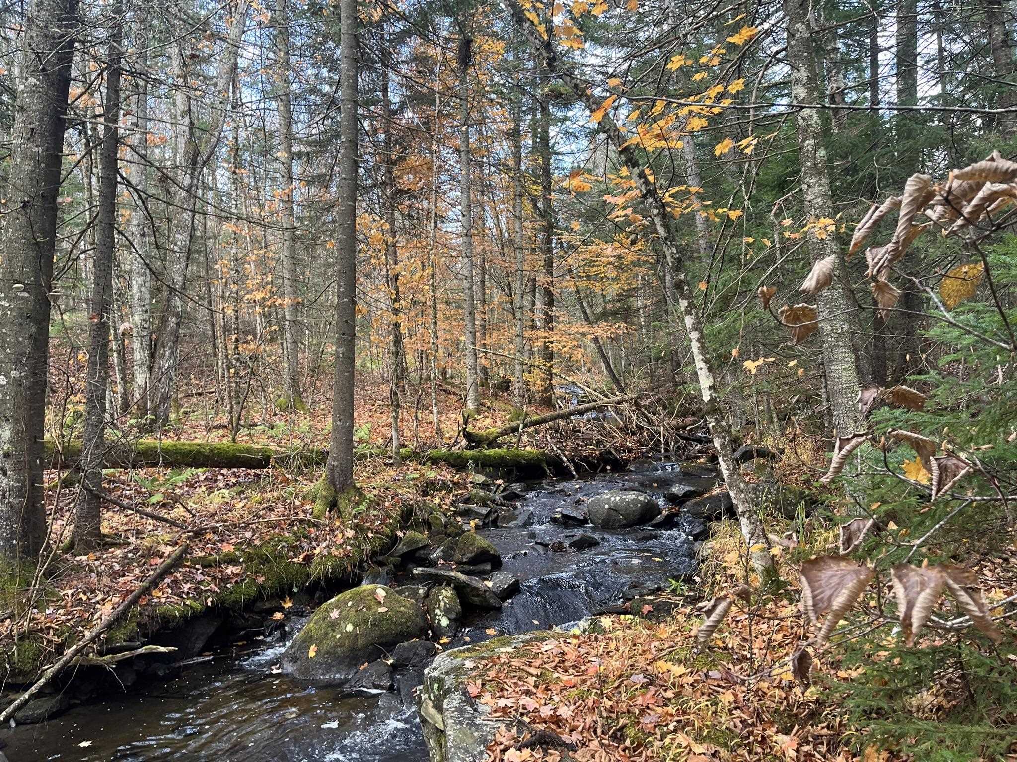 0 Claybrook Road Canaan, VT 05903 - Photo 6 of 9