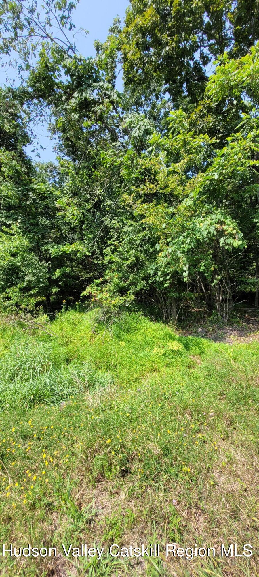 0 Watcher Boulevard Cairo, NY 12413 - Photo 2 of 6 a view of outdoor space and yard