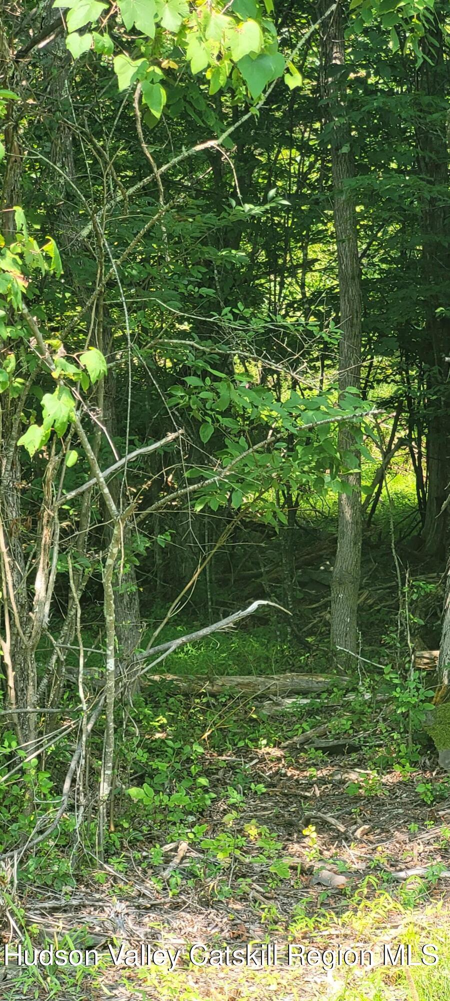 0 Watcher Boulevard Cairo, NY 12413 - Photo 4 of 6 a view of a field