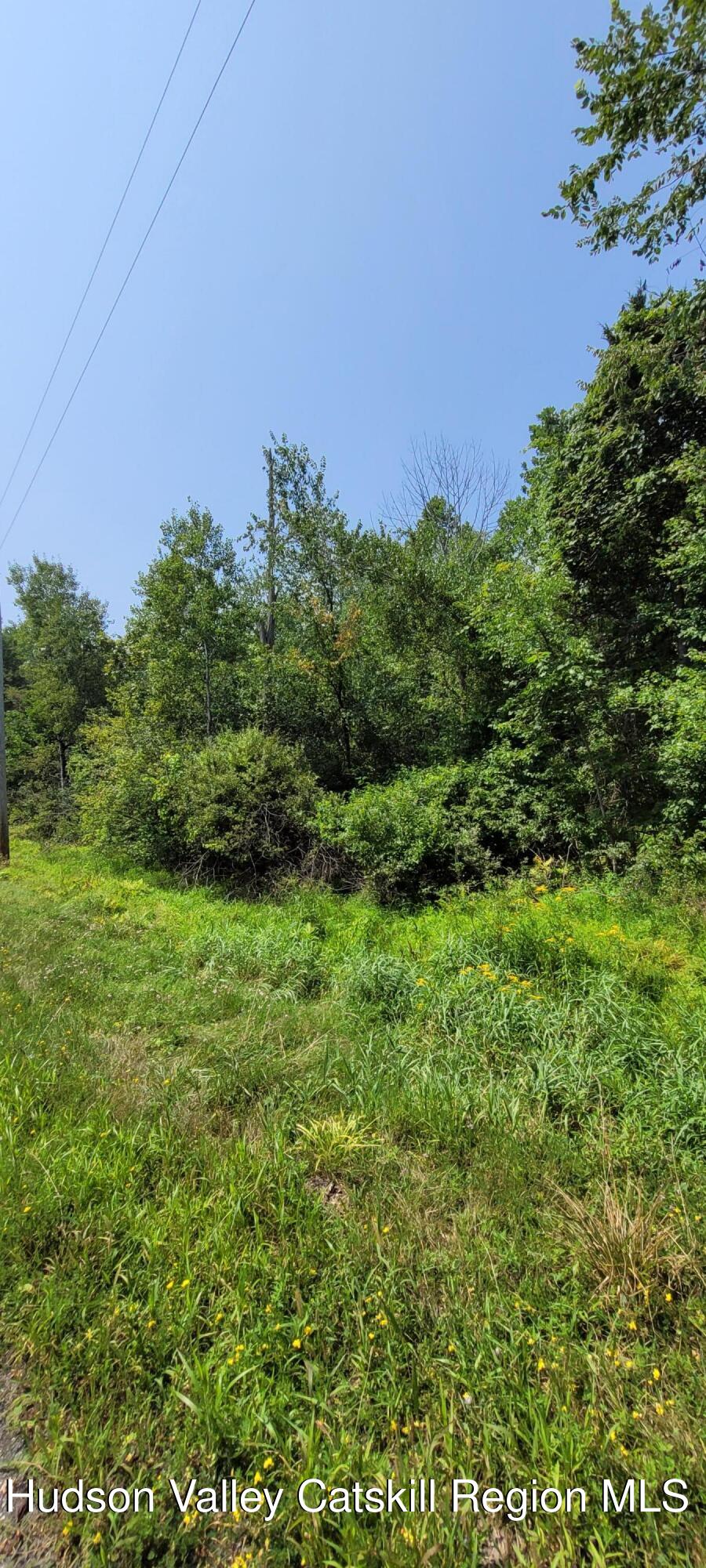 0 Watcher Boulevard Cairo, NY 12413 - Photo 5 of 6 a view of a green field with lots of bushes