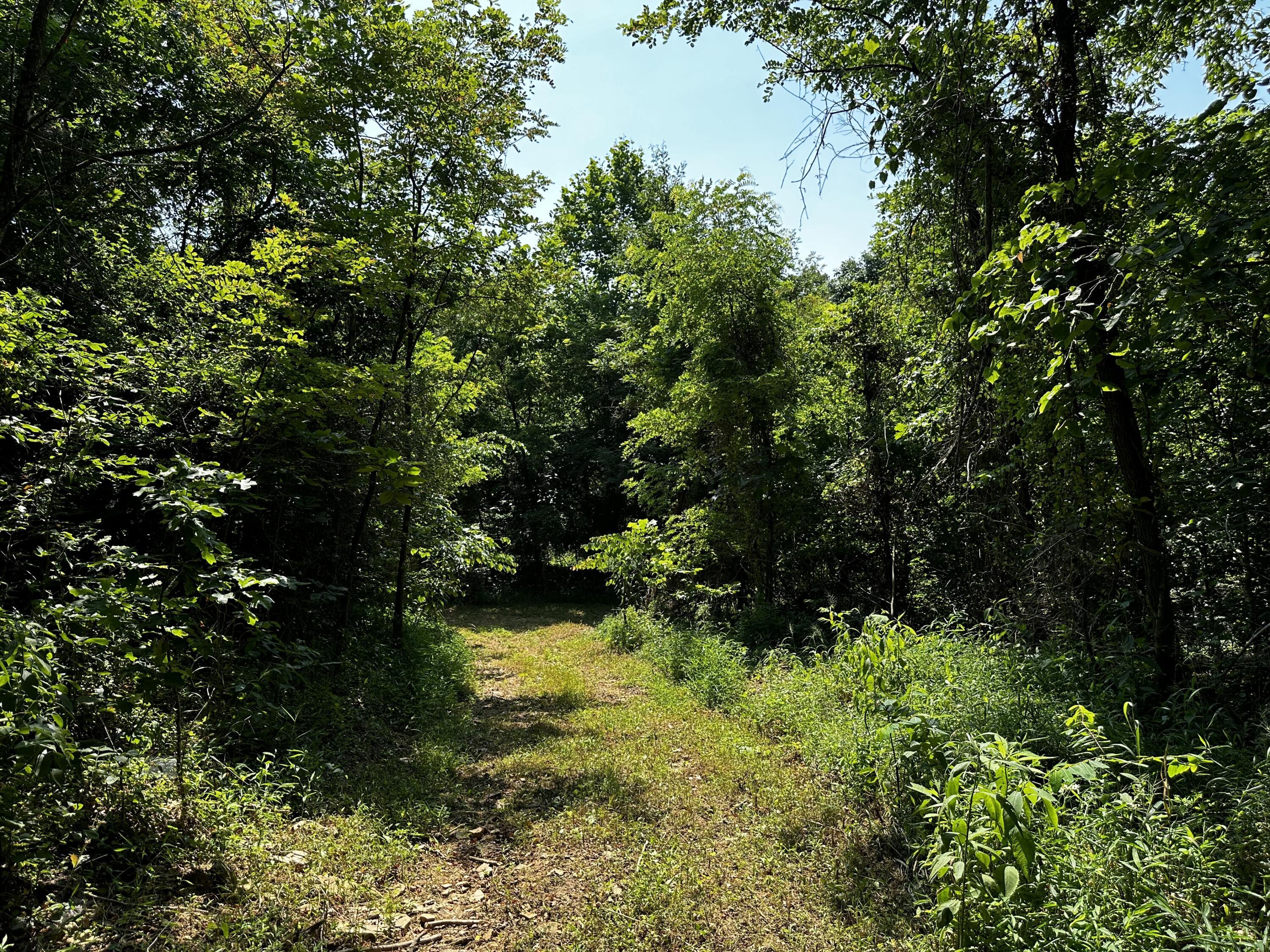 1101 Hull Road, Unit TRACT 9 WOODS WAYNE FOREST) Patriot, OH 45658 - Photo 20 of 61 20240621_145240492_iOS