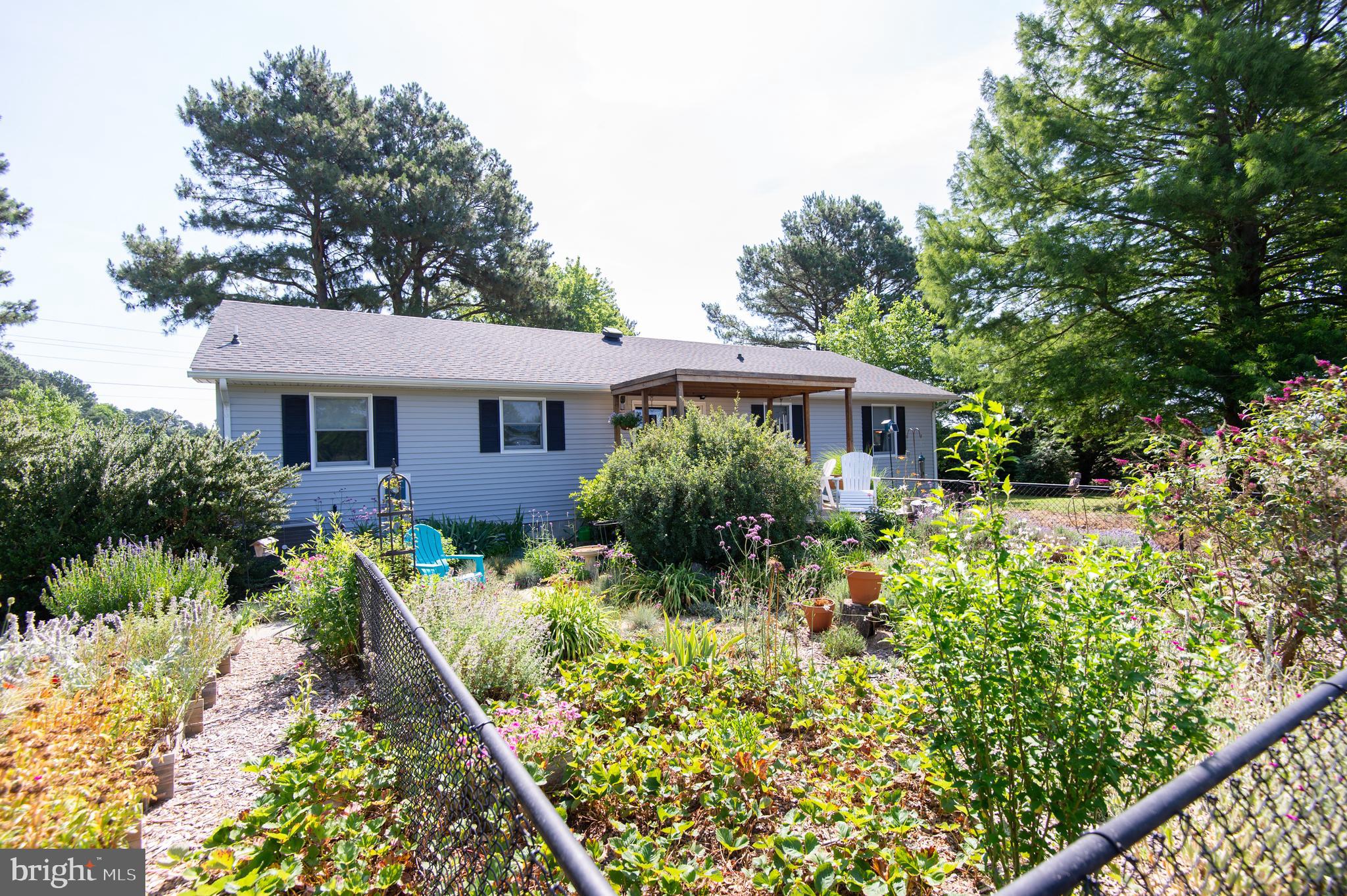 5188 Aireys Road Cambridge, MD 21613 - Photo 44 of 58