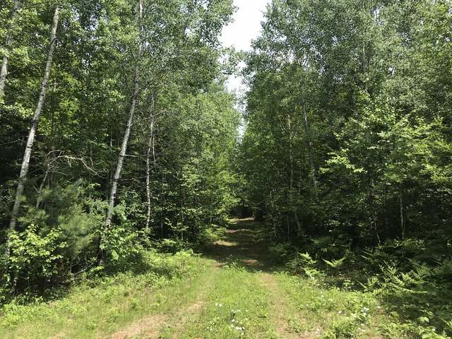 105-ac Pine Lake Road Minocqua, WI 54548 - Photo 2 of 25 Gallery Image 2