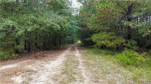 $112,000 | 0 Willow Creek Drive, Fort Valley, GA 31030