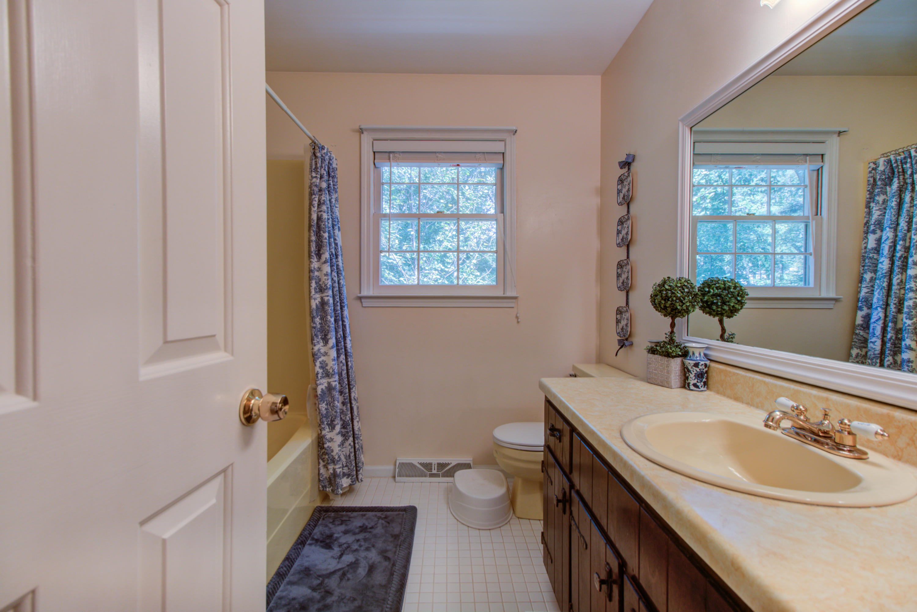 6136 Burnham Road Roanoke, VA 24018 - Photo 24 of 31 _MG_0124_5_6_7_8