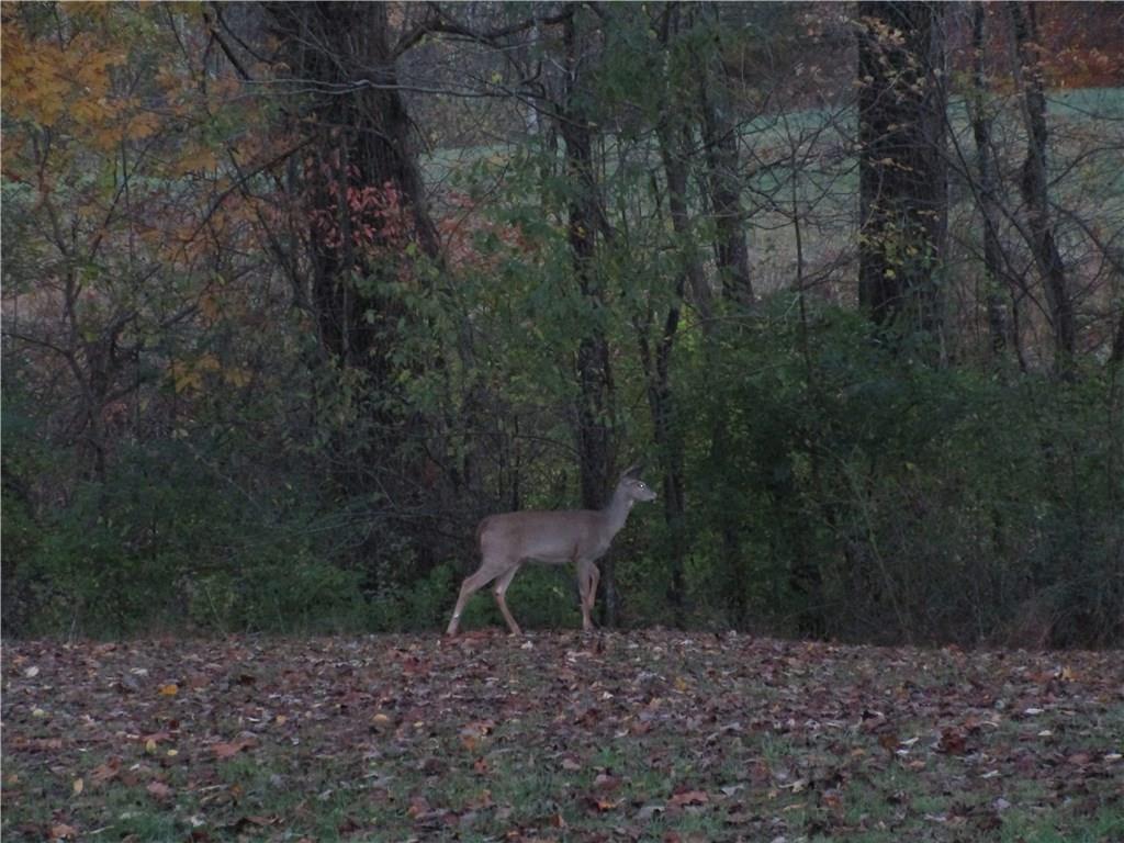 4965 West Carr Hill Road Columbus, IN 47201 - Photo 25 of 25 Gallery Image 25