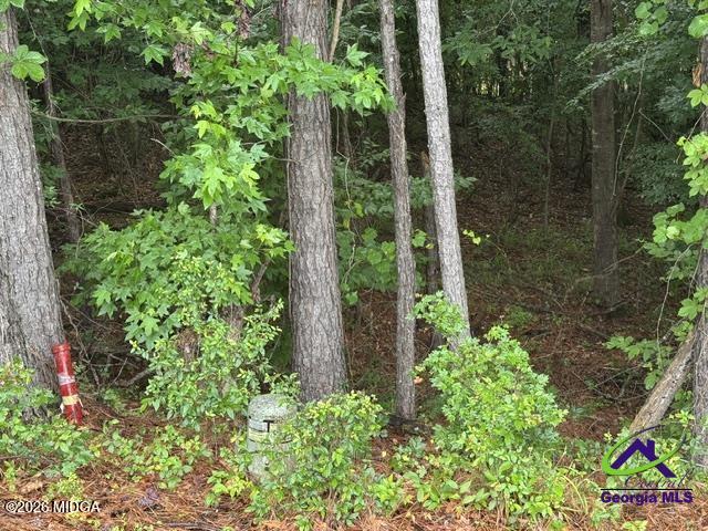 176 Waters Pointe Lizella, GA 31052 - Photo 3 of 13 wp2
