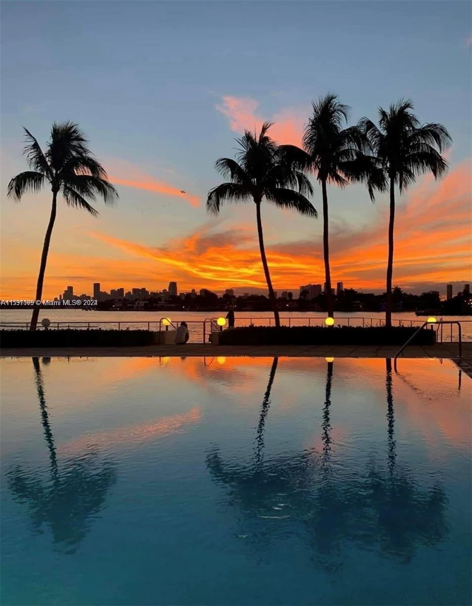 3 Island Avenue, Unit 10K Miami Beach, FL 33139 - Photo 19 of 19 a view of water with palm trees