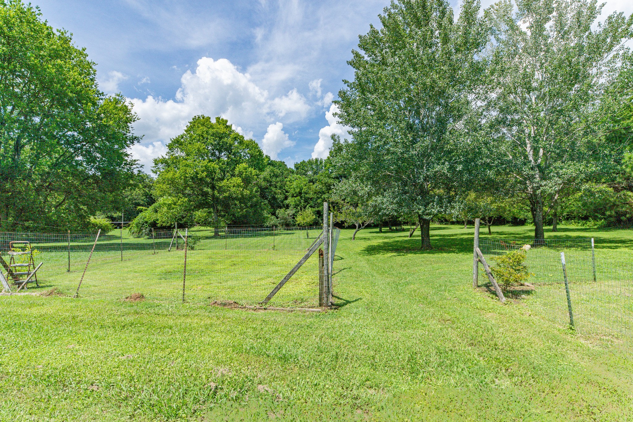 330 Holly Grove Road Lewisburg, TN 37091 - Photo 46 of 84