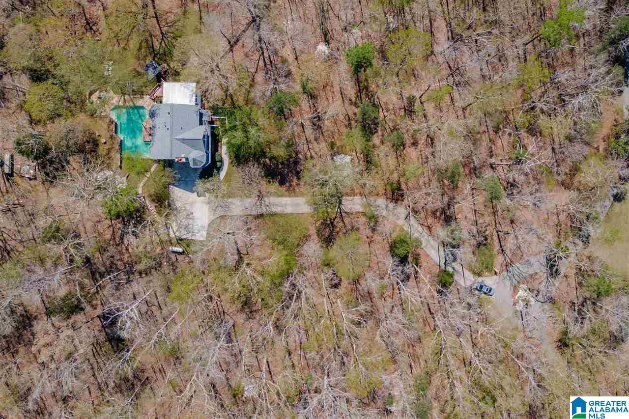 358 Jump Off Farms Road Odenville, AL 35120 - Photo 39 of 42