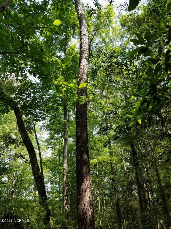 0 Upper Neck Road Bayboro, NC 28515 - Photo 13 of 17 013