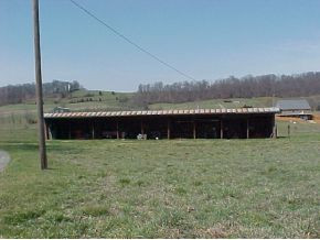 4512 Clear Springs Road Limestone, TN 37681 - Photo 3 of 10 Photo 3