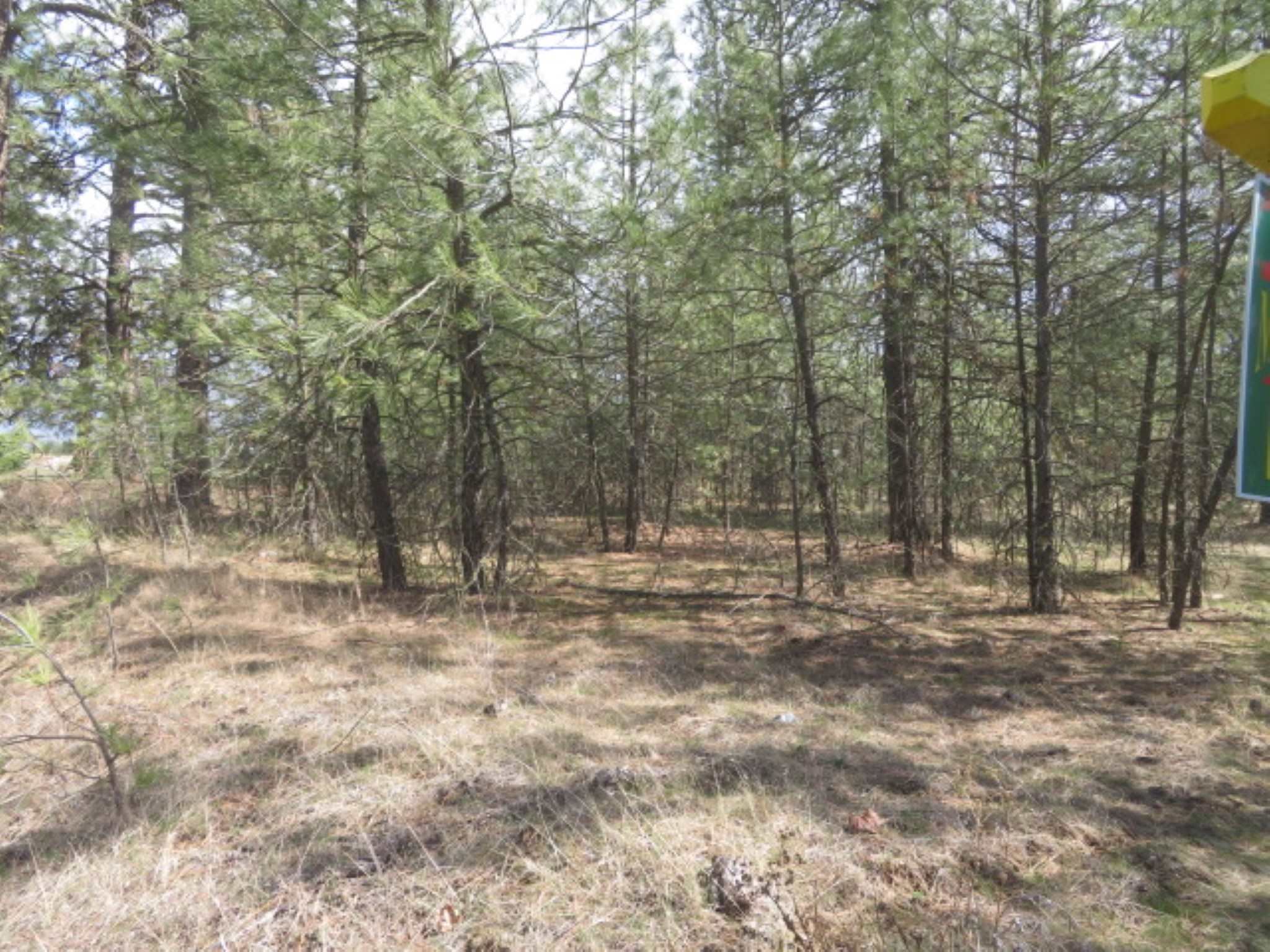 268-block West Tucker Prairie Road Cheney, WA 99004 - Photo 1 of 7