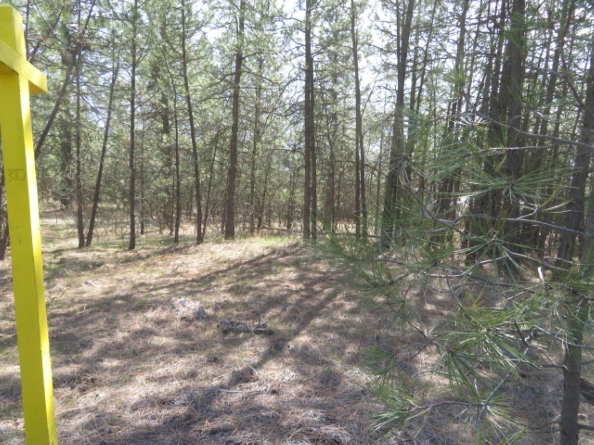 268-block West Tucker Prairie Road Cheney, WA 99004 - Photo 2 of 7