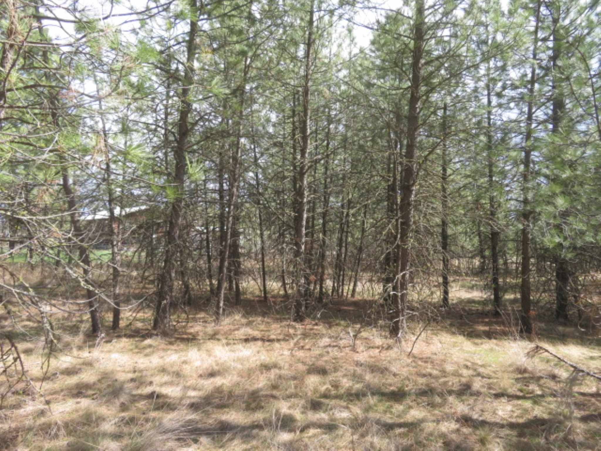 268-block West Tucker Prairie Road Cheney, WA 99004 - Photo 7 of 7