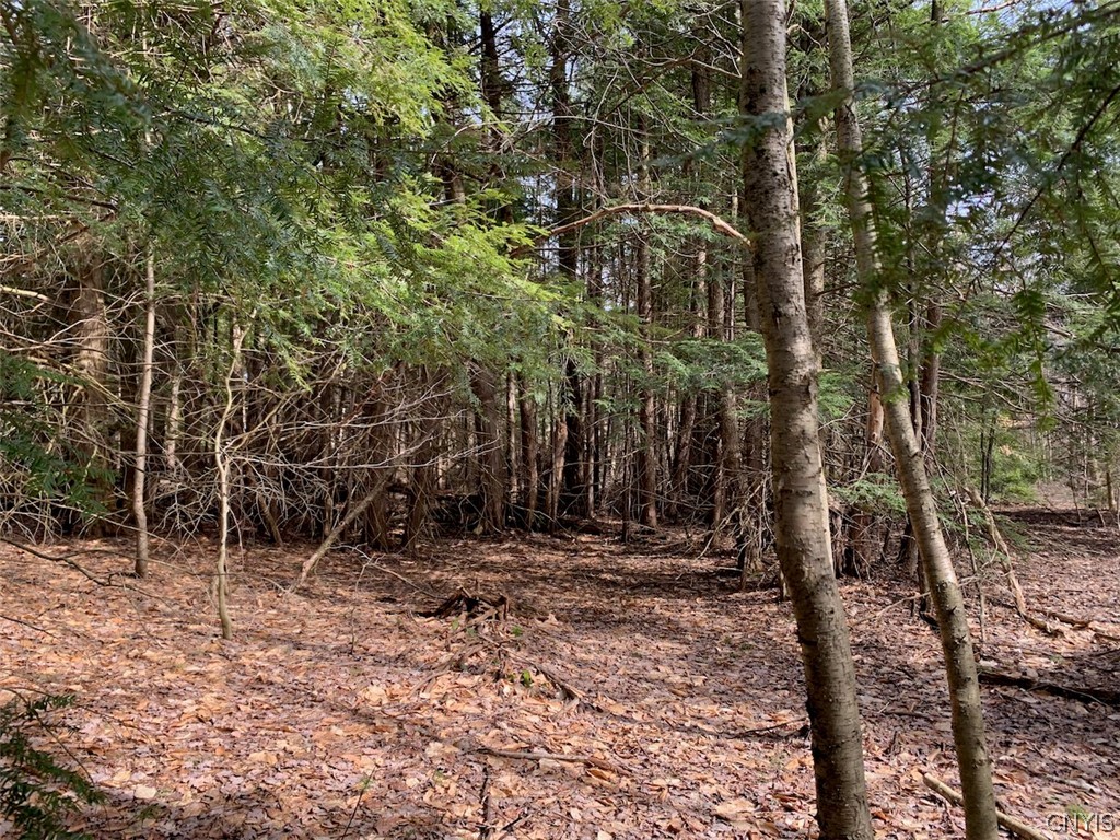 Off Hong Kong Road Parish, NY 13131 - Photo 9 of 12
