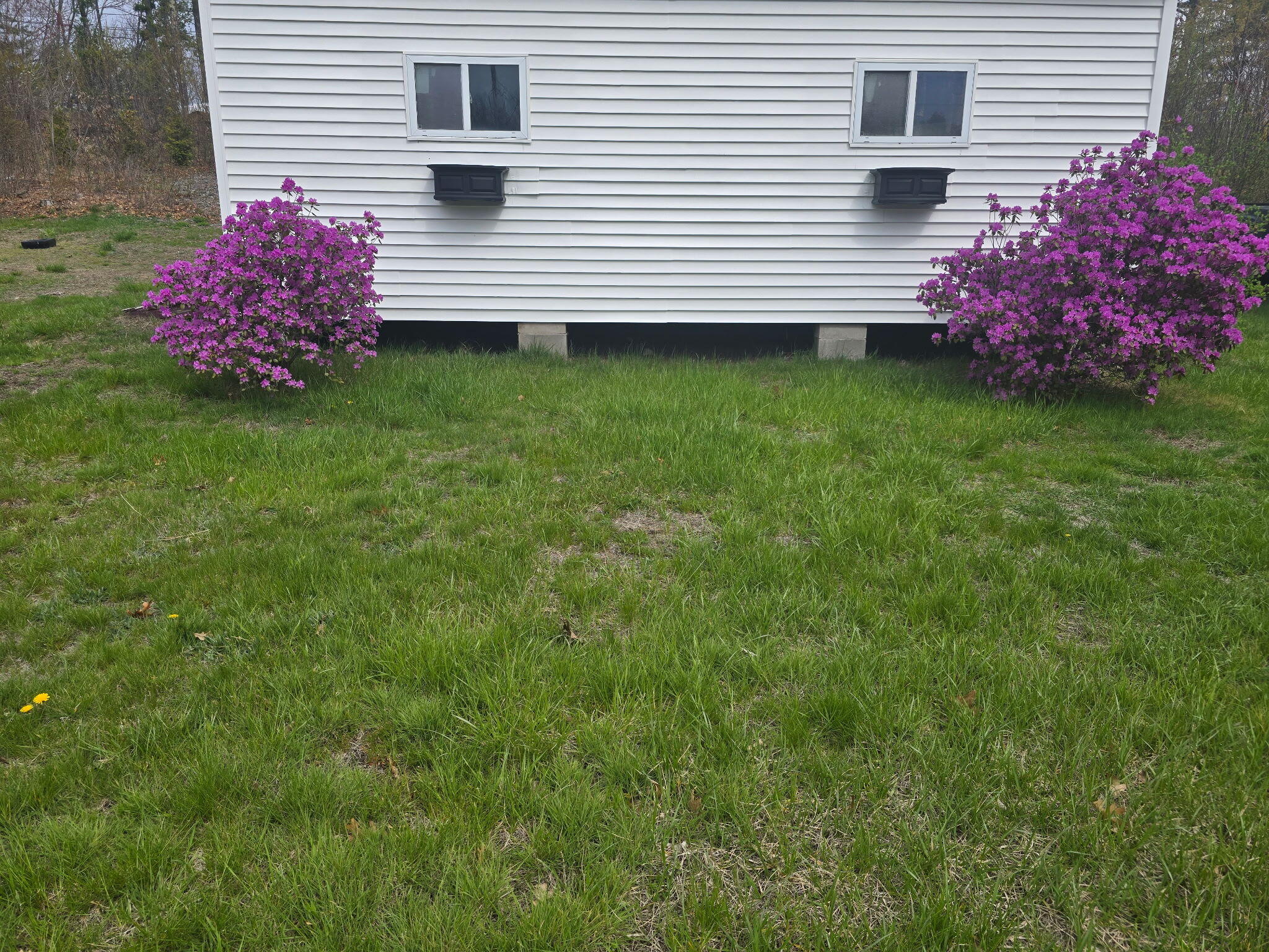 321 North Berwick Road Wells, ME 04090 - Photo 12 of 83 20260506_100604
