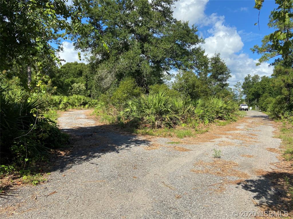 1900 Marsh Road DeLand, FL 32724 - Photo 38 of 39 a view of a yard with plants and trees