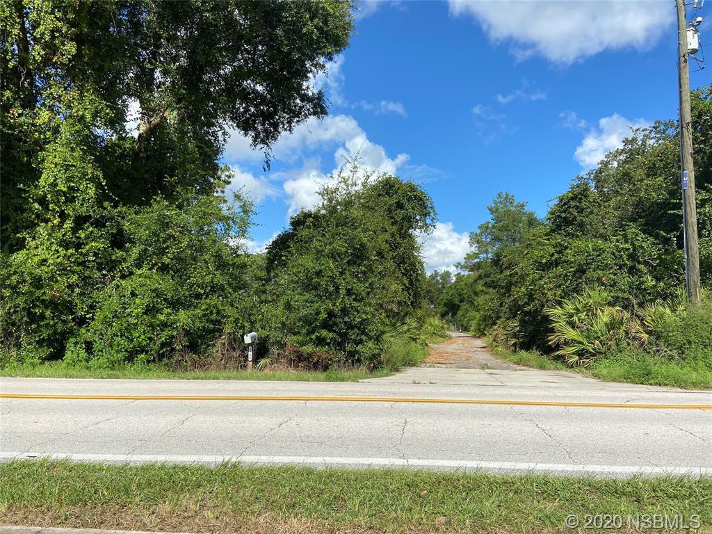 1900 Marsh Road DeLand, FL 32724 - Photo 39 of 39 a view of a yard