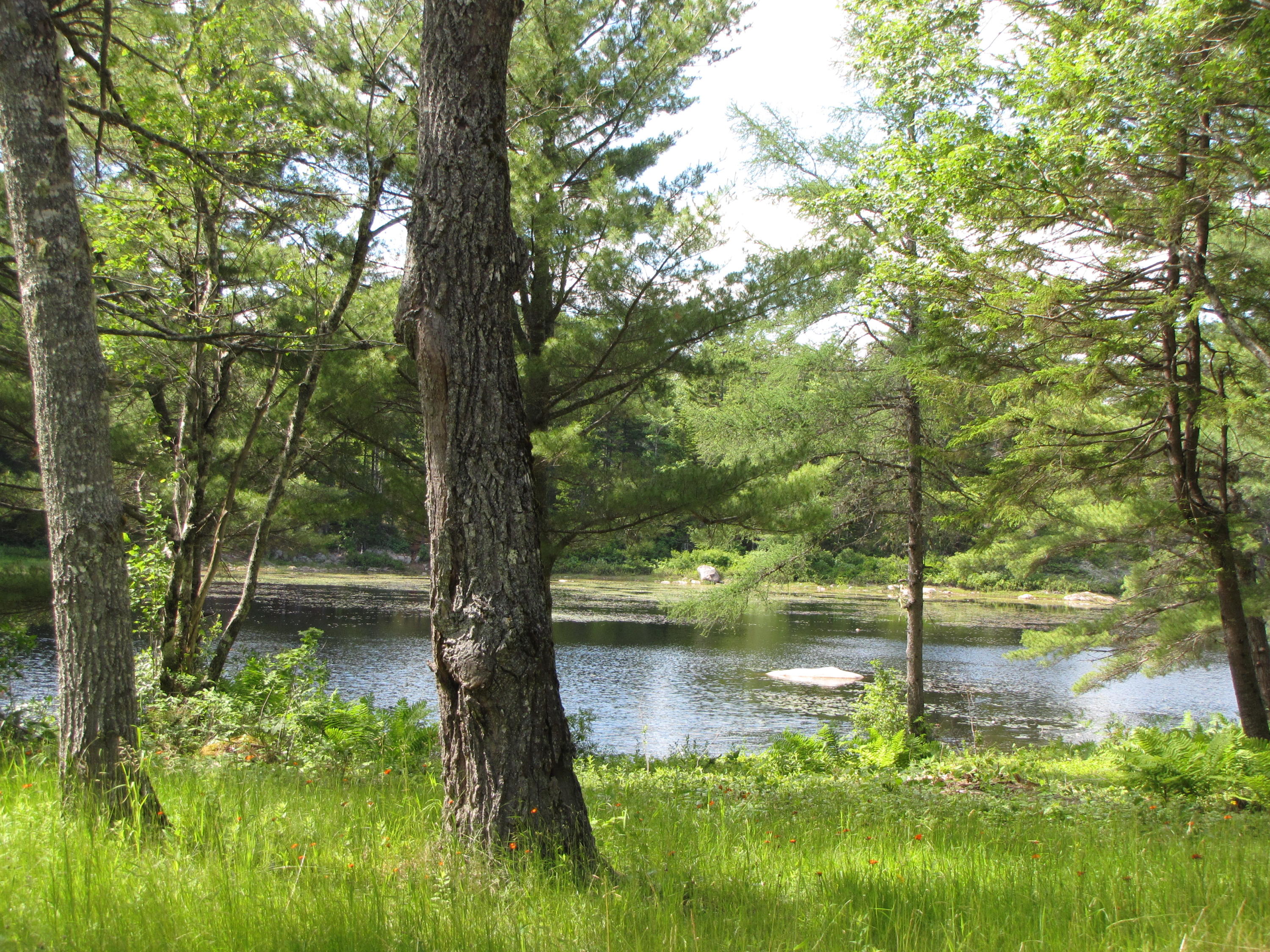 33 Marks Lake Road Machias, ME 04654 - Photo 30 of 37 IMG_2077