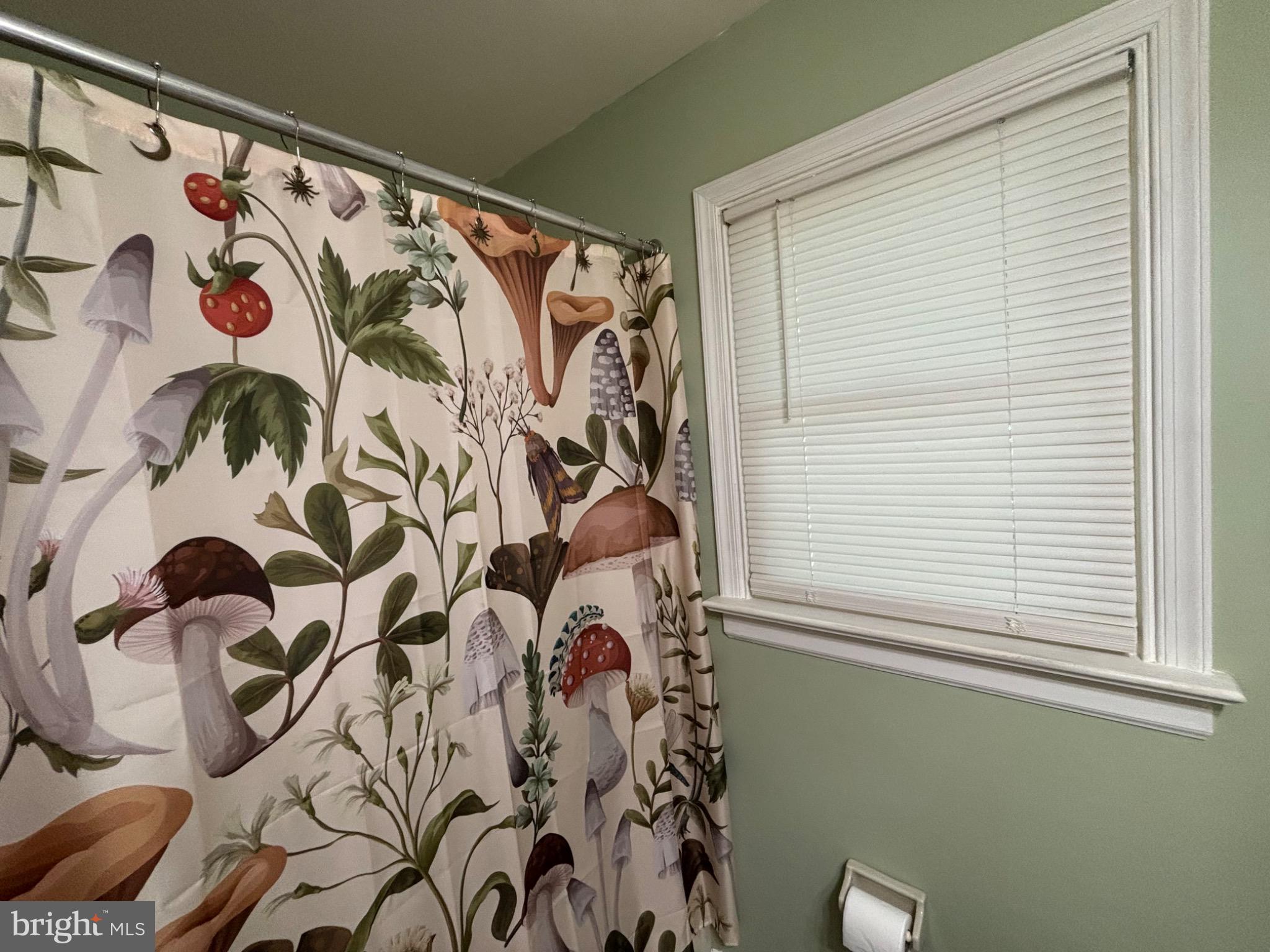 9728 Country Way Road Glen Allen, VA 23060 - Photo 21 of 23 Whimsical mushroom-themed bathroom retreat.