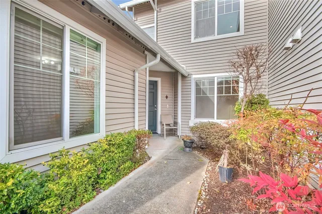 a potted plant sitting in front of a house