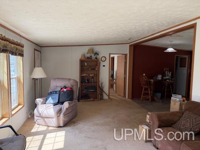 W9168 Town Corner Lake Road Pembine, WI 54156 - Photo 4 of 17