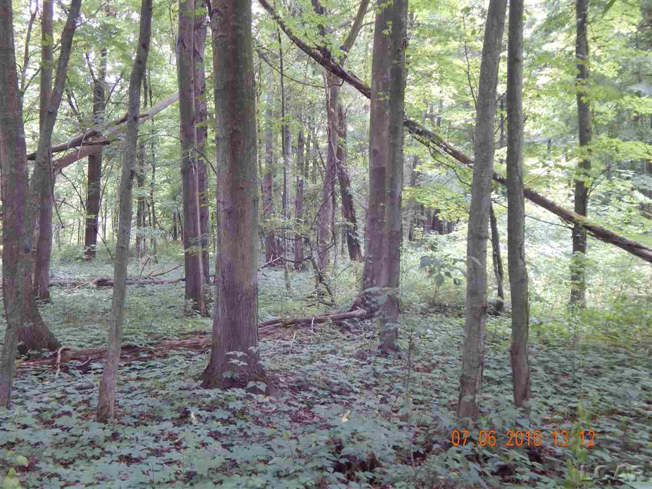 3883 Rogers Road Parma, MI 49269 - Photo 20 of 21