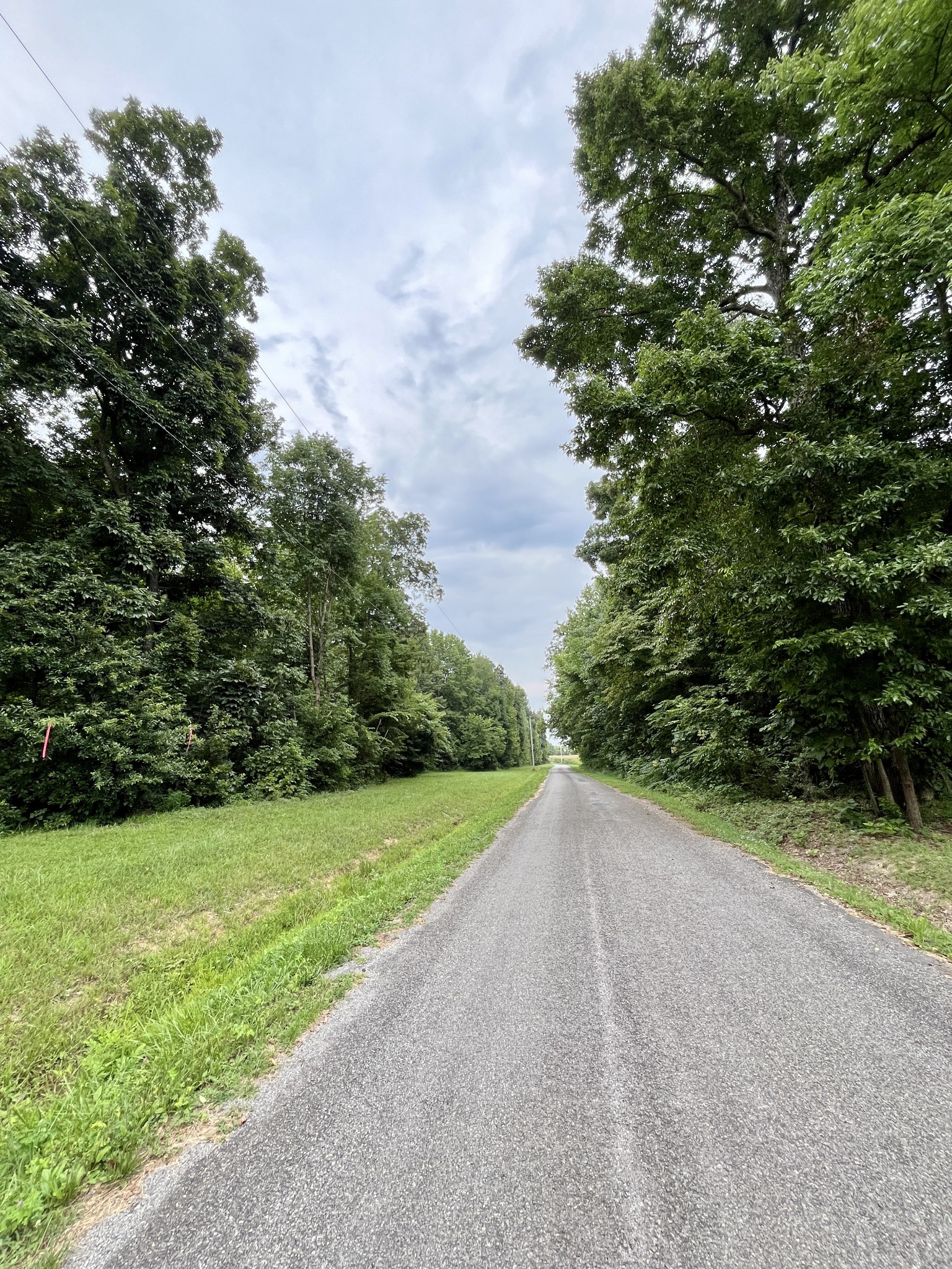 0 Boyd Holland Road Springfield, TN 37172 - Photo 5 of 23 a view of a field with a tree