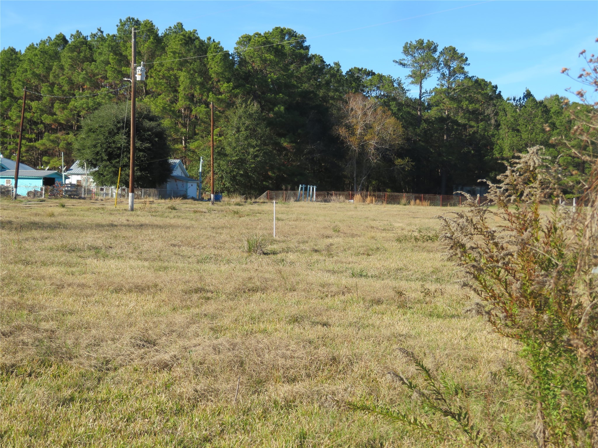 27169 Highway 146 Cleveland, TX 77327 - Photo 3 of 10 a view of a yard with trees