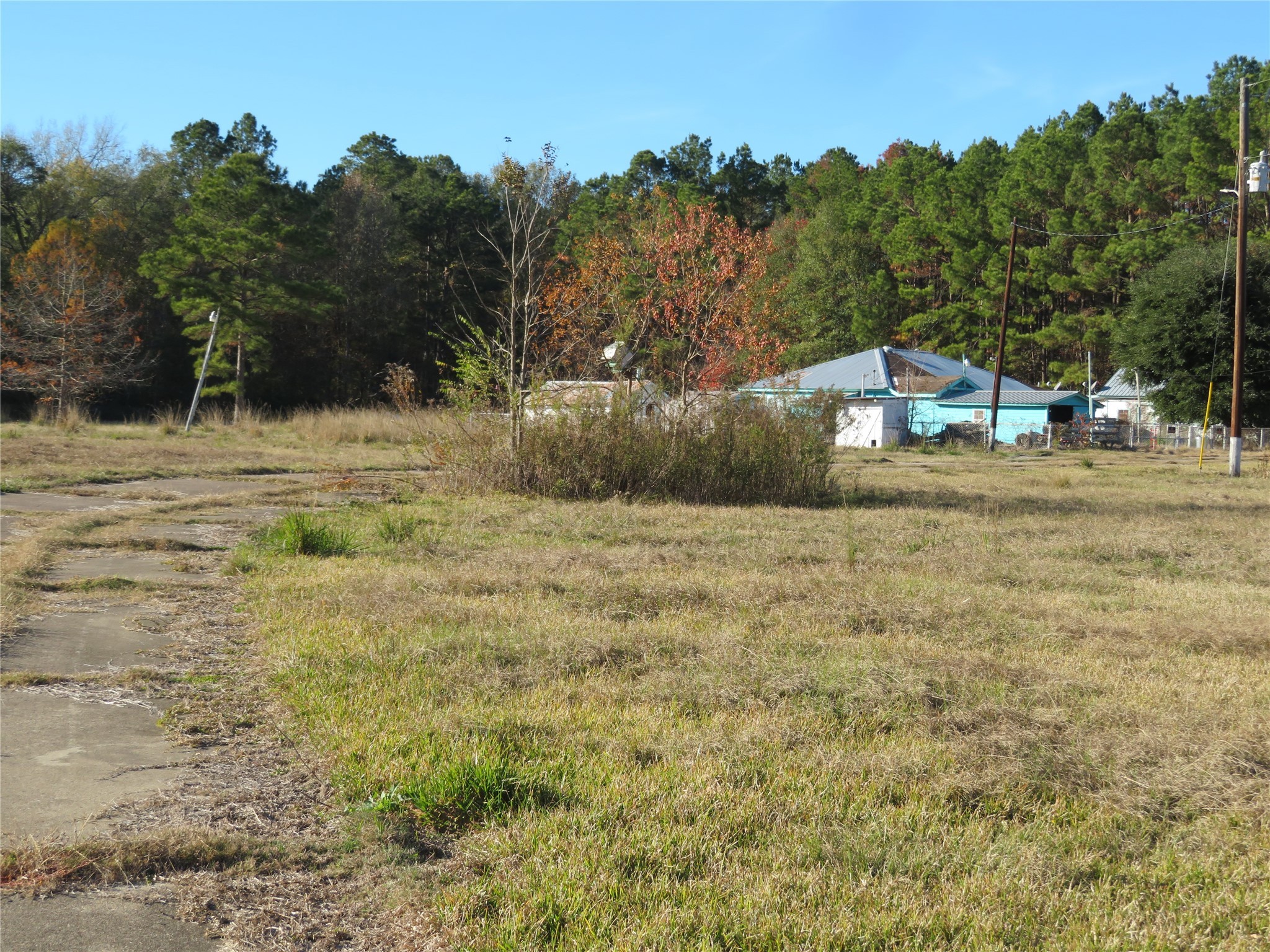 27169 Highway 146 Cleveland, TX 77327 - Photo 4 of 10 a view of a yard with a house in the background