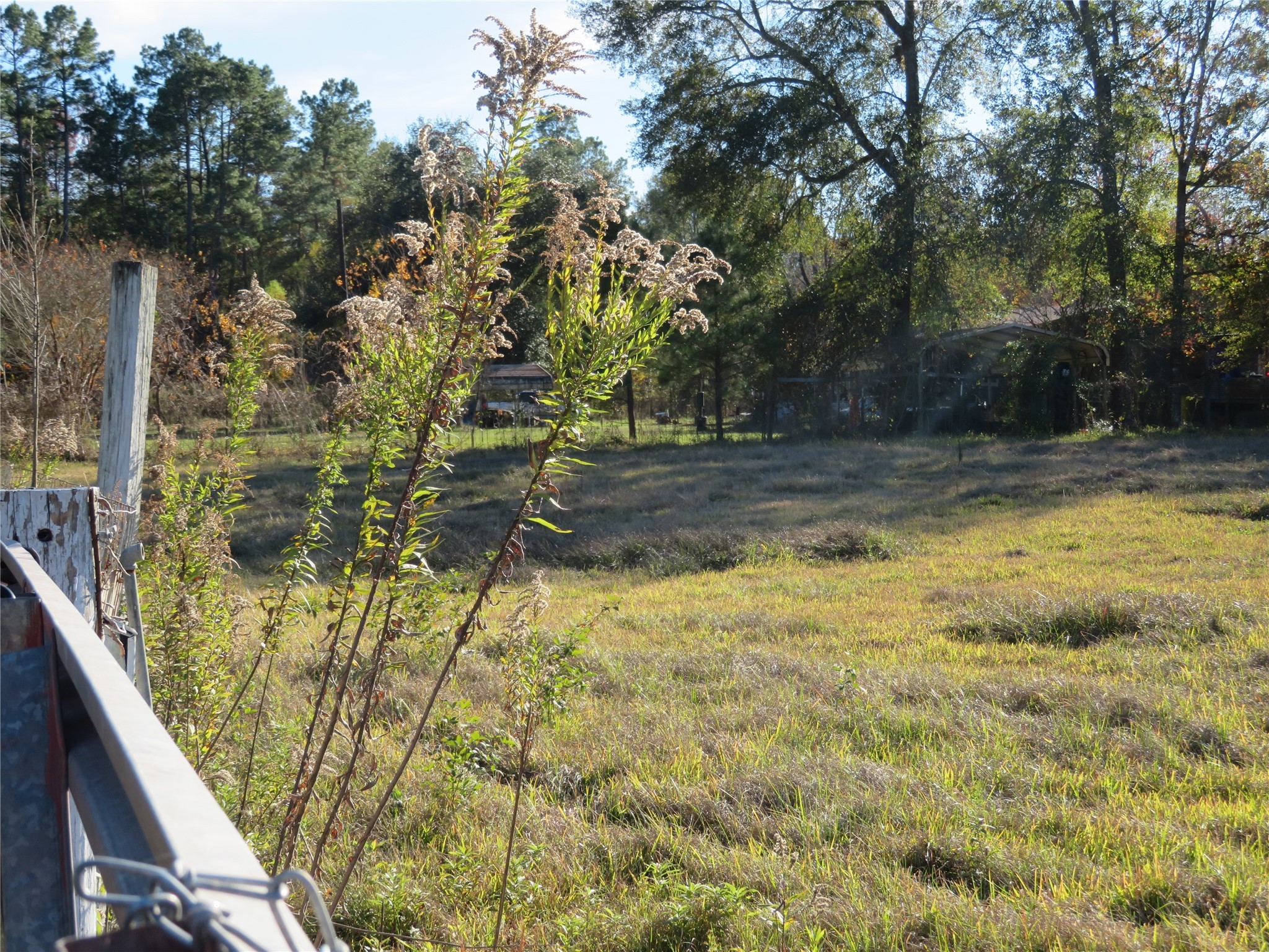27169 Highway 146 Cleveland, TX 77327 - Photo 8 of 10 a view of a yard with plants