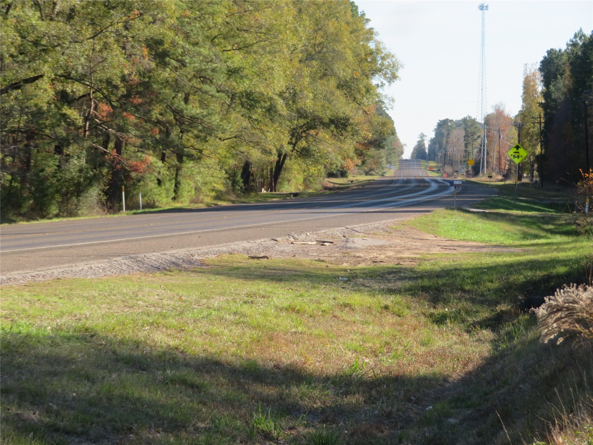 27169 Highway 146 Cleveland, TX 77327 - Photo 10 of 10 a view of a yard with a fountain