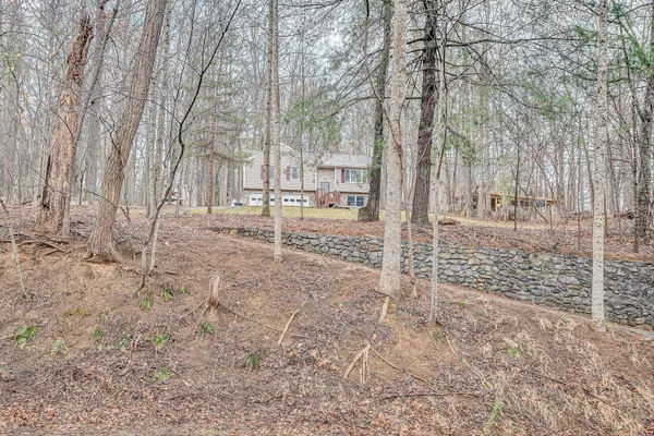 a view of a yard with trees on the wall